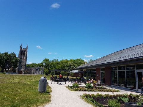 Westmount Park-Westmount必去景点