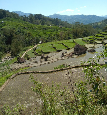 Tengku Lese Waterfall-Tengku Lese必去景点