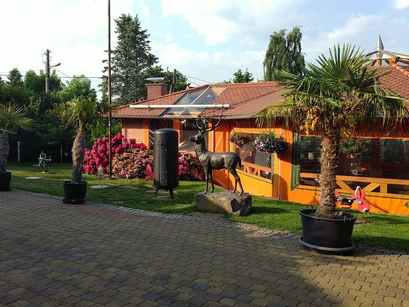 Brauner Hirsch主图