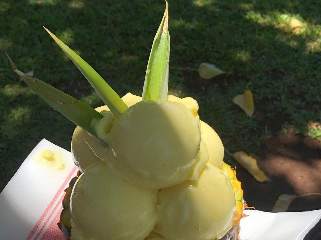 Maui Pineapple Store-拉海纳必去景点