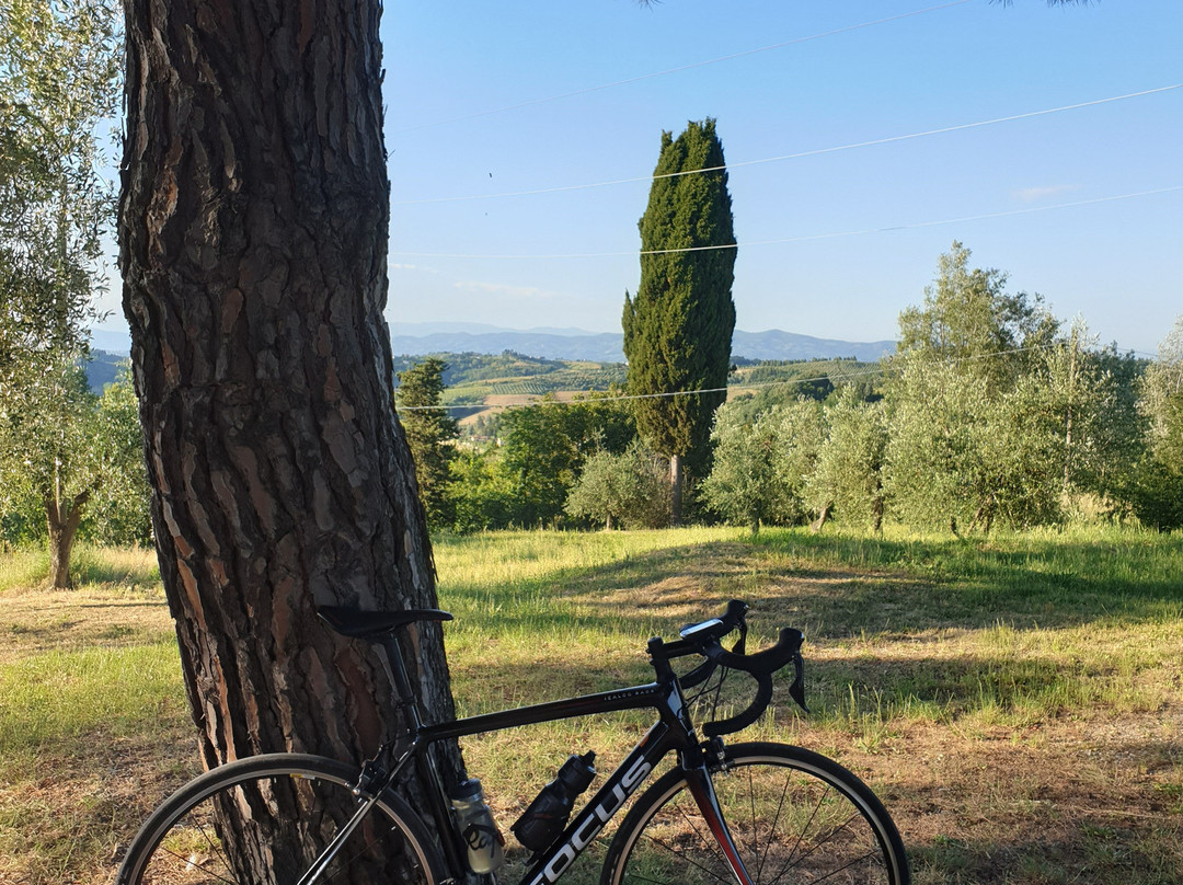 Tuscanybiking景点图片