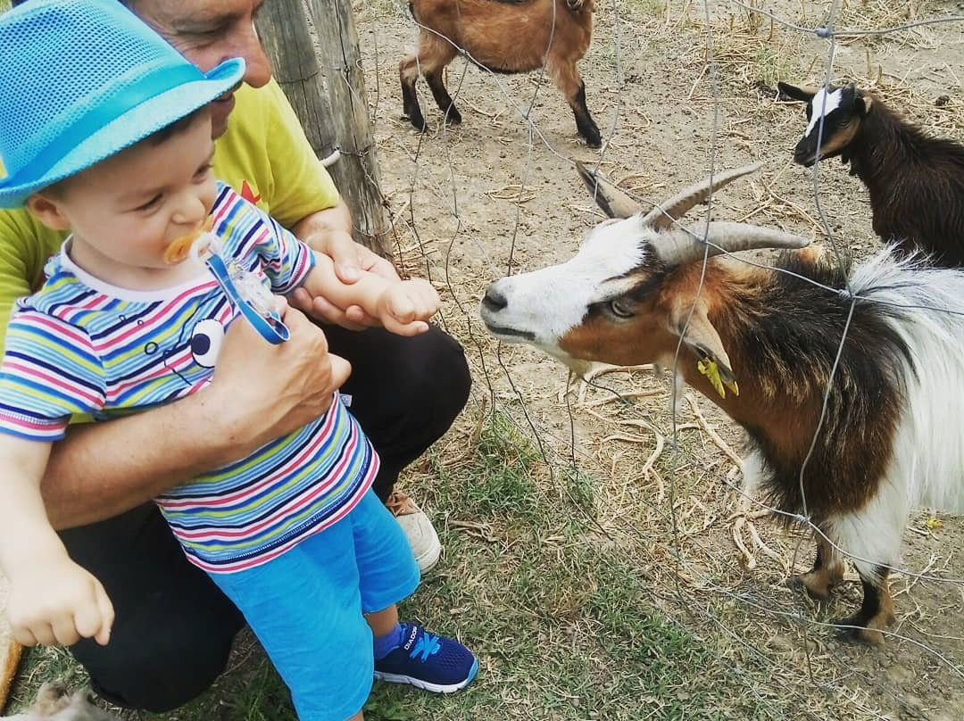 Agriturismo Il Parco di Nonna Betty主图