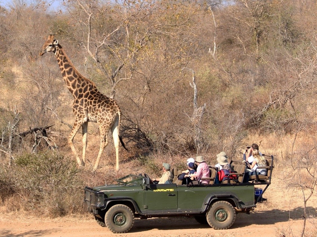 Makutsi Safari Springs