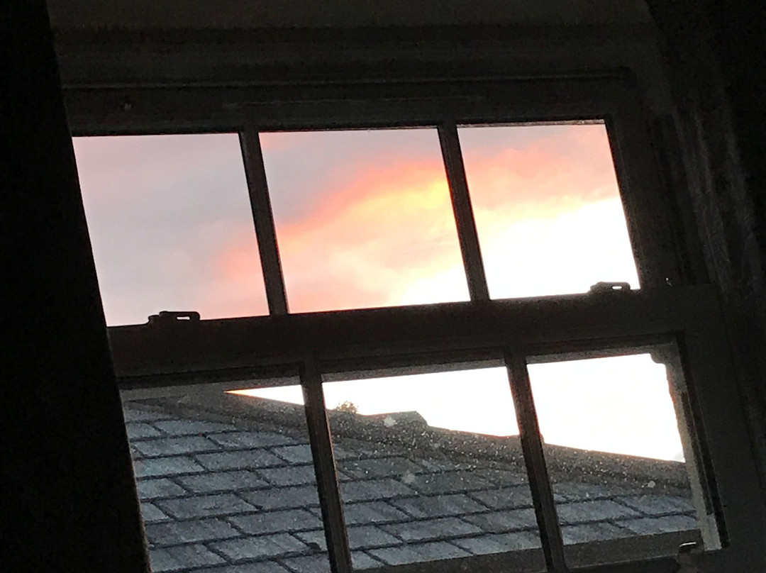 The Bickford Arms主图