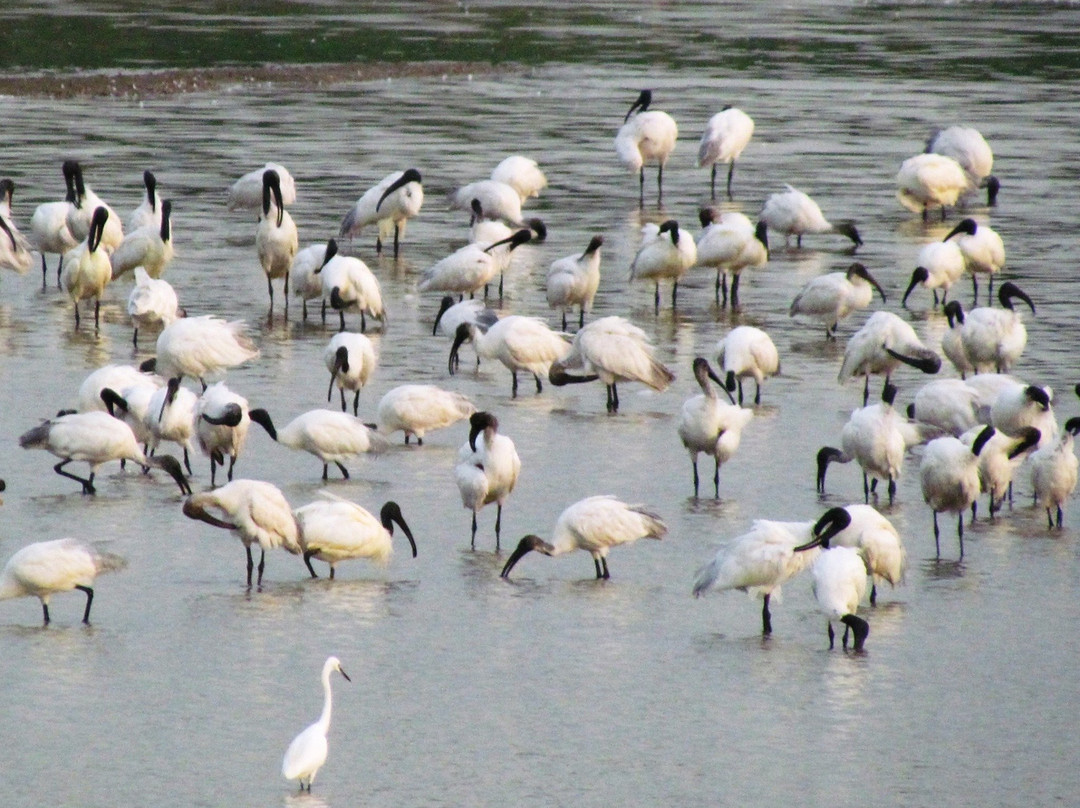Agara Lake景点图片