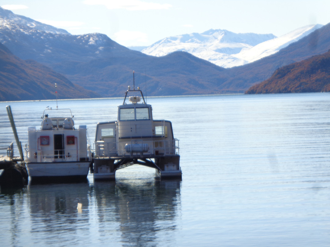 Lago del Desierto景点图片