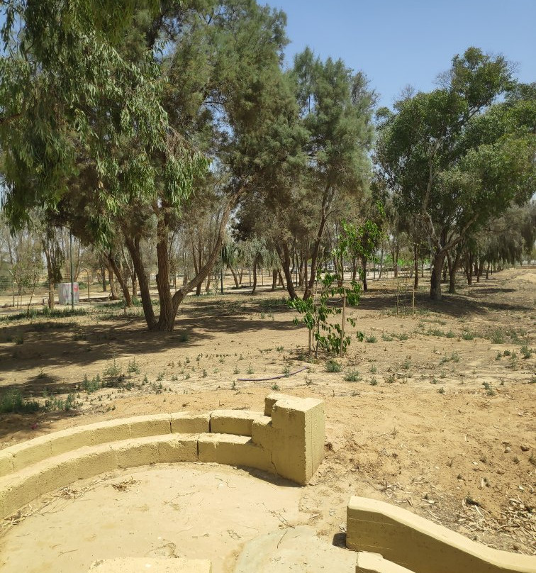 Mitzpe Beit Eshel-贝尔谢巴必去景点