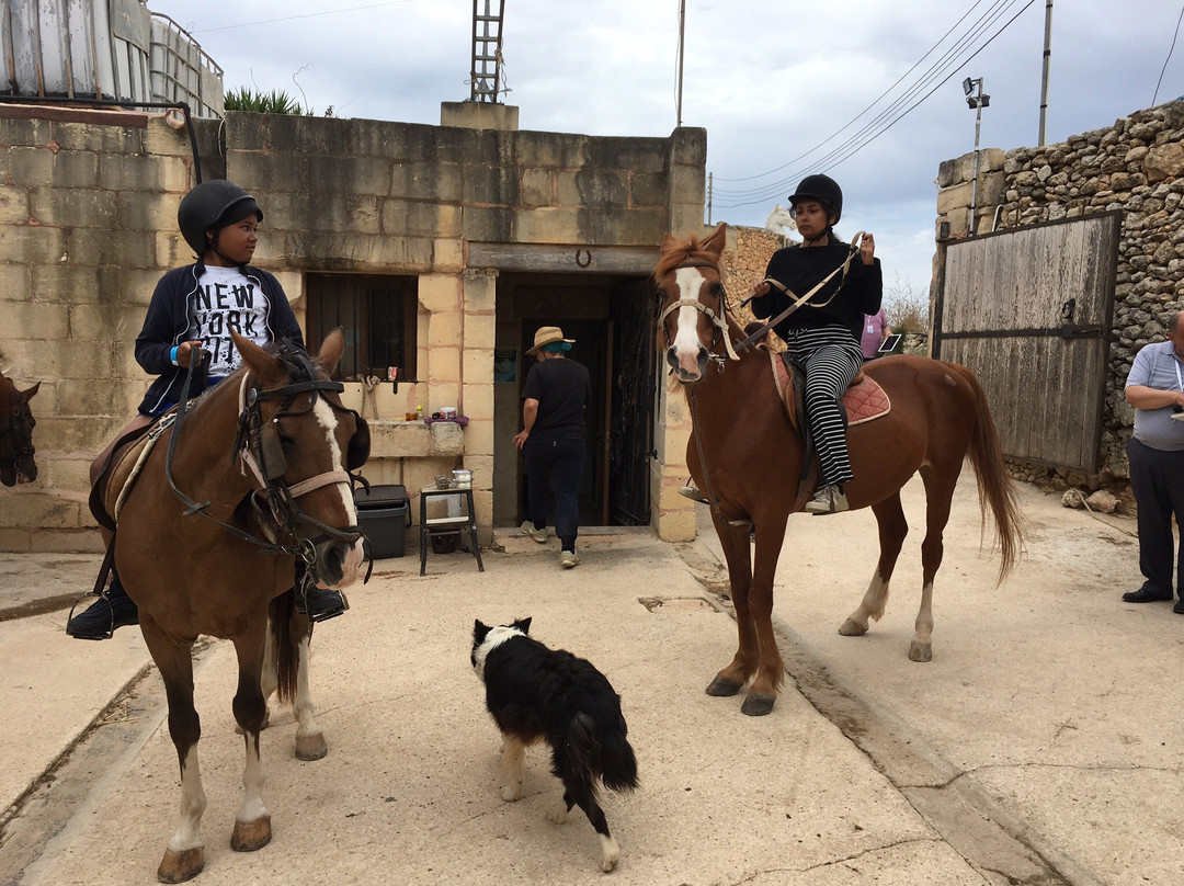 Bidnija Horse Riding-Mosta必去景点