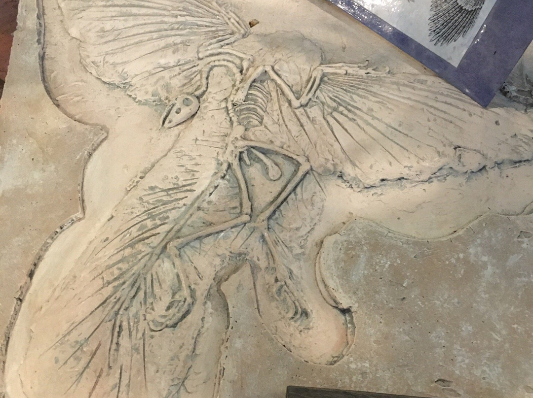Stone Science景点图片