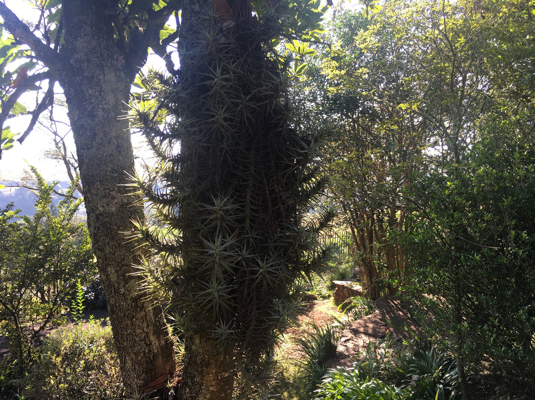 The Sabie Townhouse Guest Lodge主图