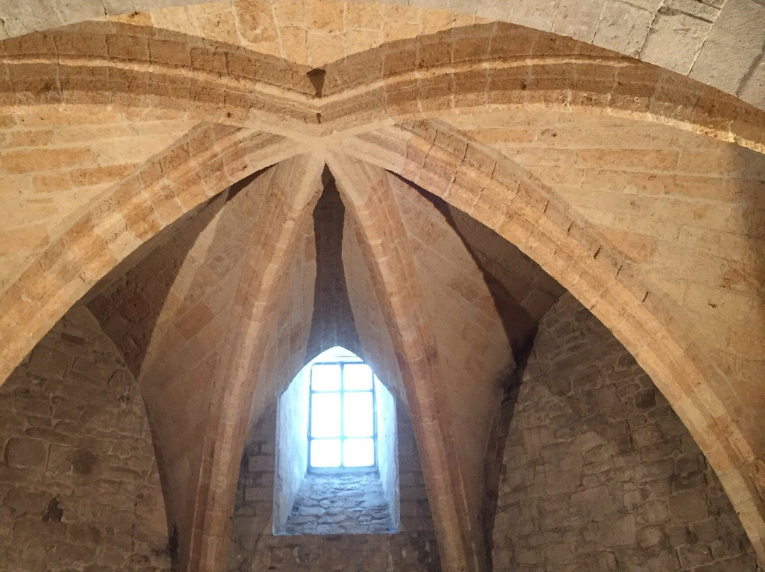 Cattedrale di Sant'Andrea Apostolo景点图片