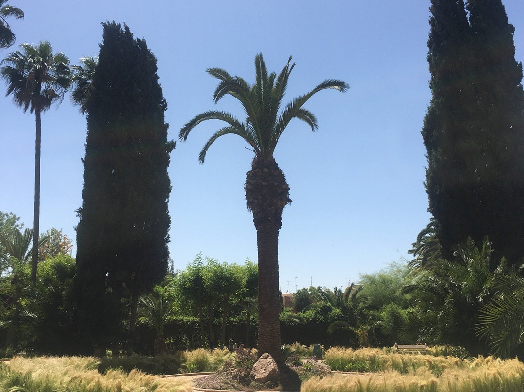 Parc lalla aicha-乌季达必去景点