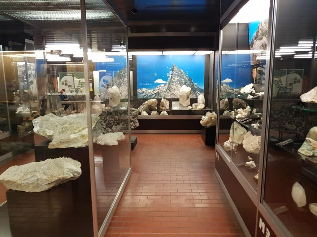 Museo Cantonale di Storia Naturale景点图片