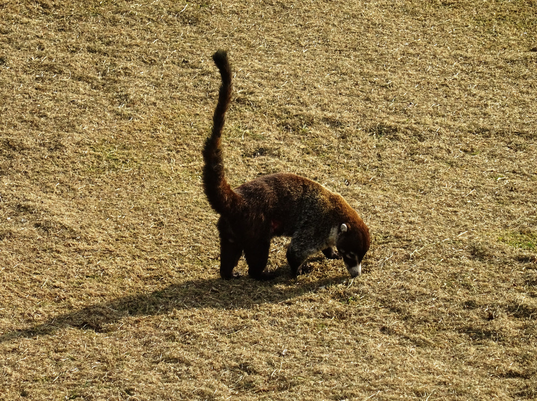 El Establo Mountain Hotel主图