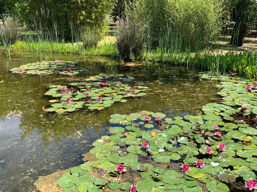 Jardin Botanico El Arboreto景点图片