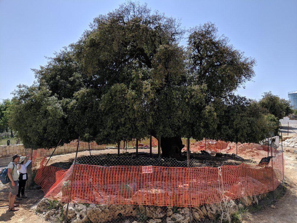 Gush Etzion Heritage Center-Kfar Ezion必去景点