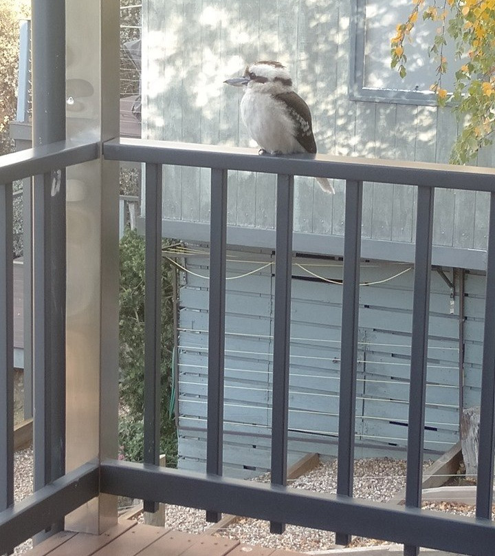 Balconies Lakeside主图