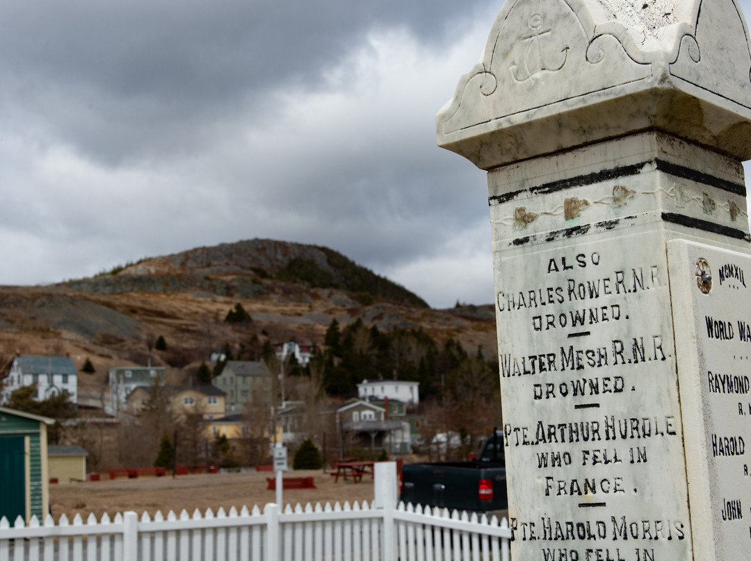 Trinity Eco-Tours and Lodge主图