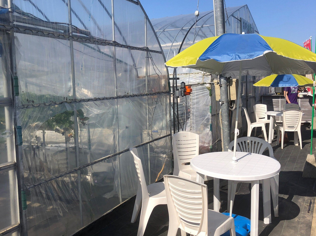 Takano Strawberry Farm