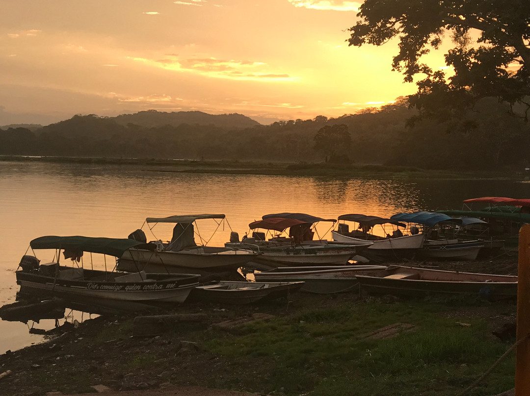 Panama Day Trips- Canal Eco Tours景点图片
