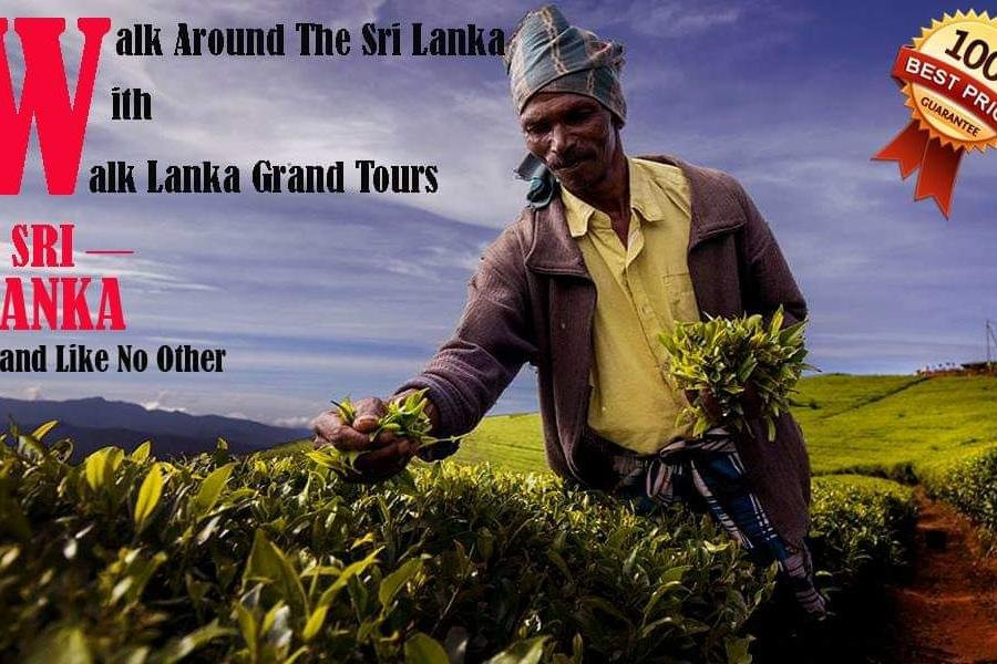 Walklanka Grand Tours(pvt)ltd景点图片