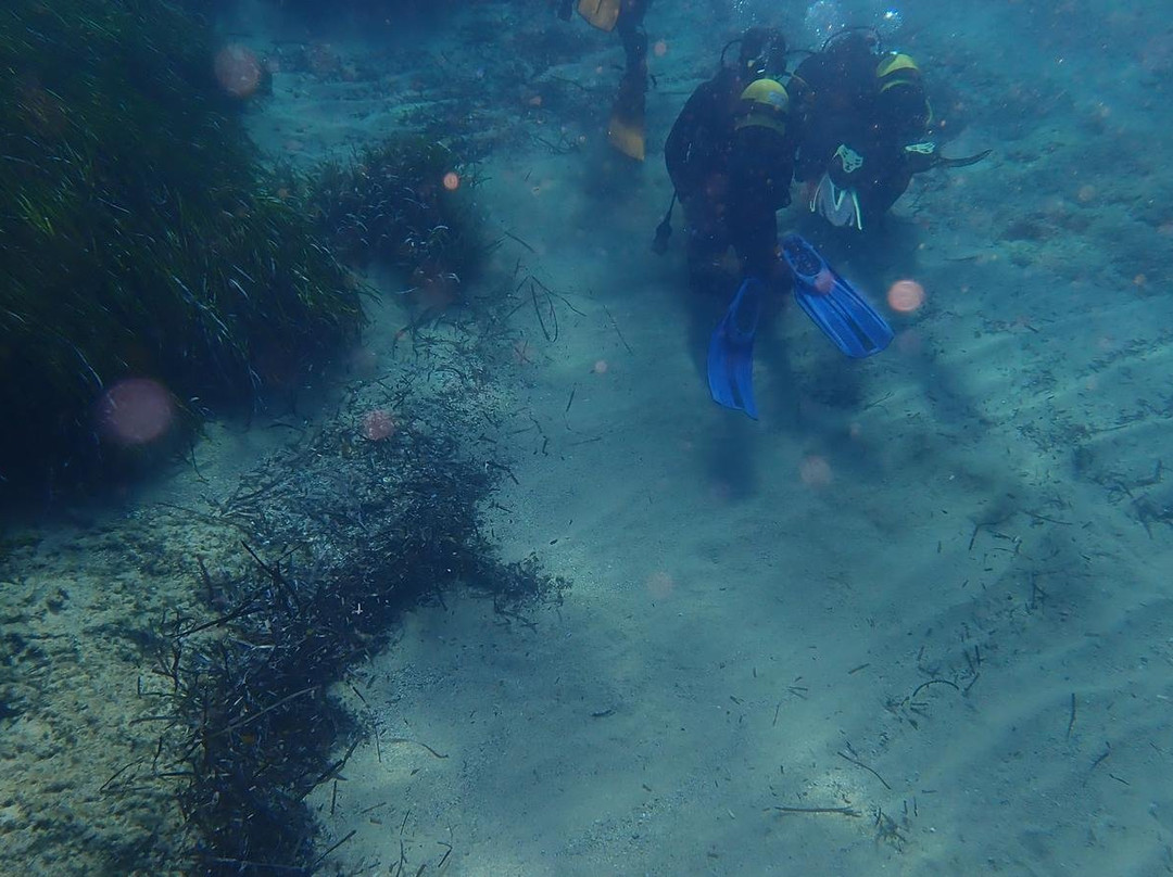 Kalymnos Diving Center景点图片