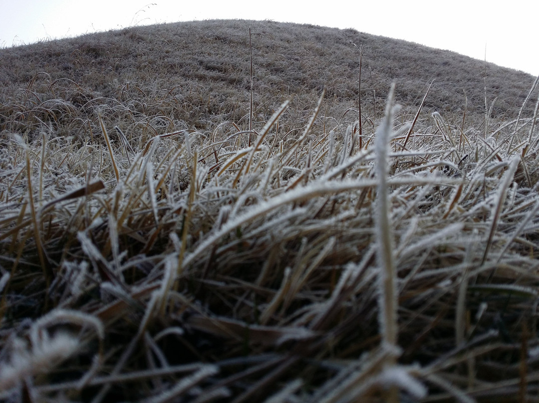 Royal Tomb of King Jinpyeong-庆州市必去景点