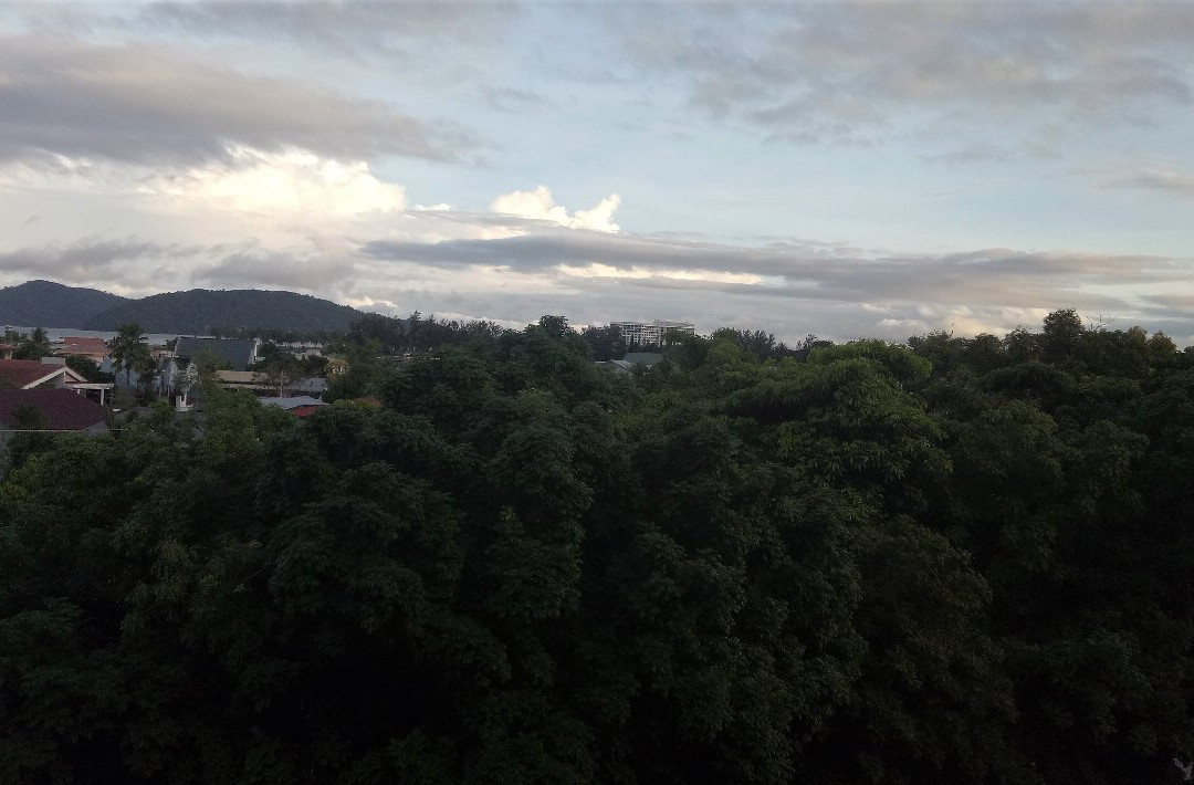 阿鲁大酒店主图