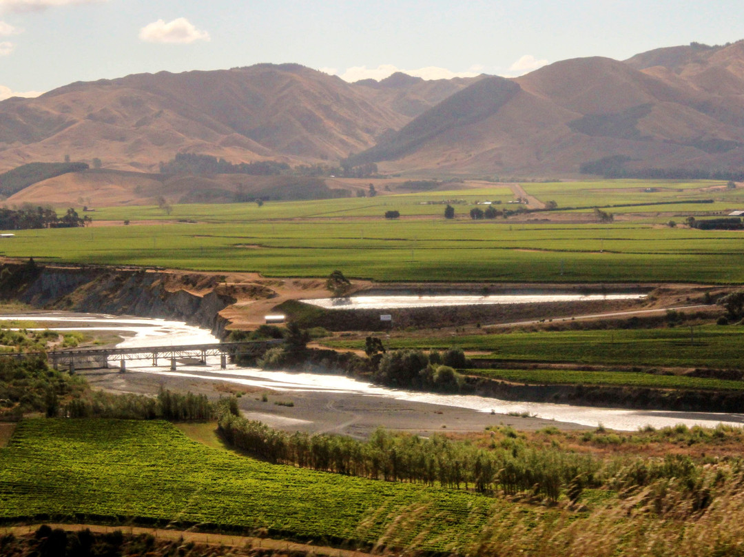 Awatere River Bridge景点图片