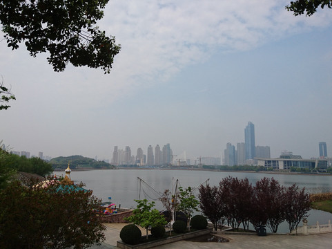 月湖公园-武汉市必去景点