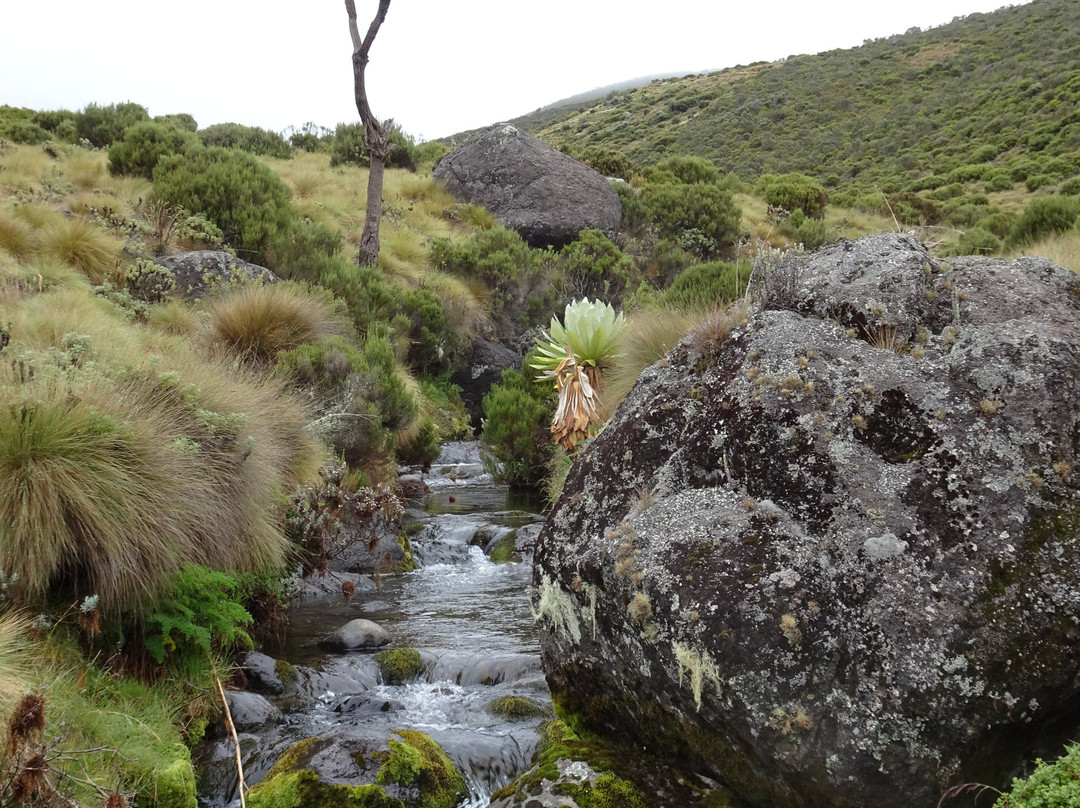 Alpine Holidays-Naro Moru必去景点