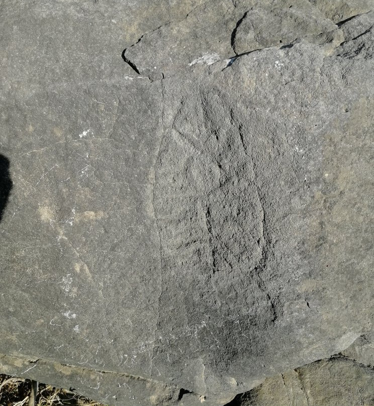 Petroglyphs Sikachi Alyan-Sikachi Alyan必去景点