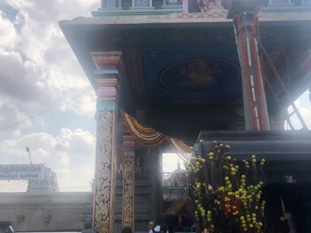 Arulmigu Badrakaliamman Temple景点图片