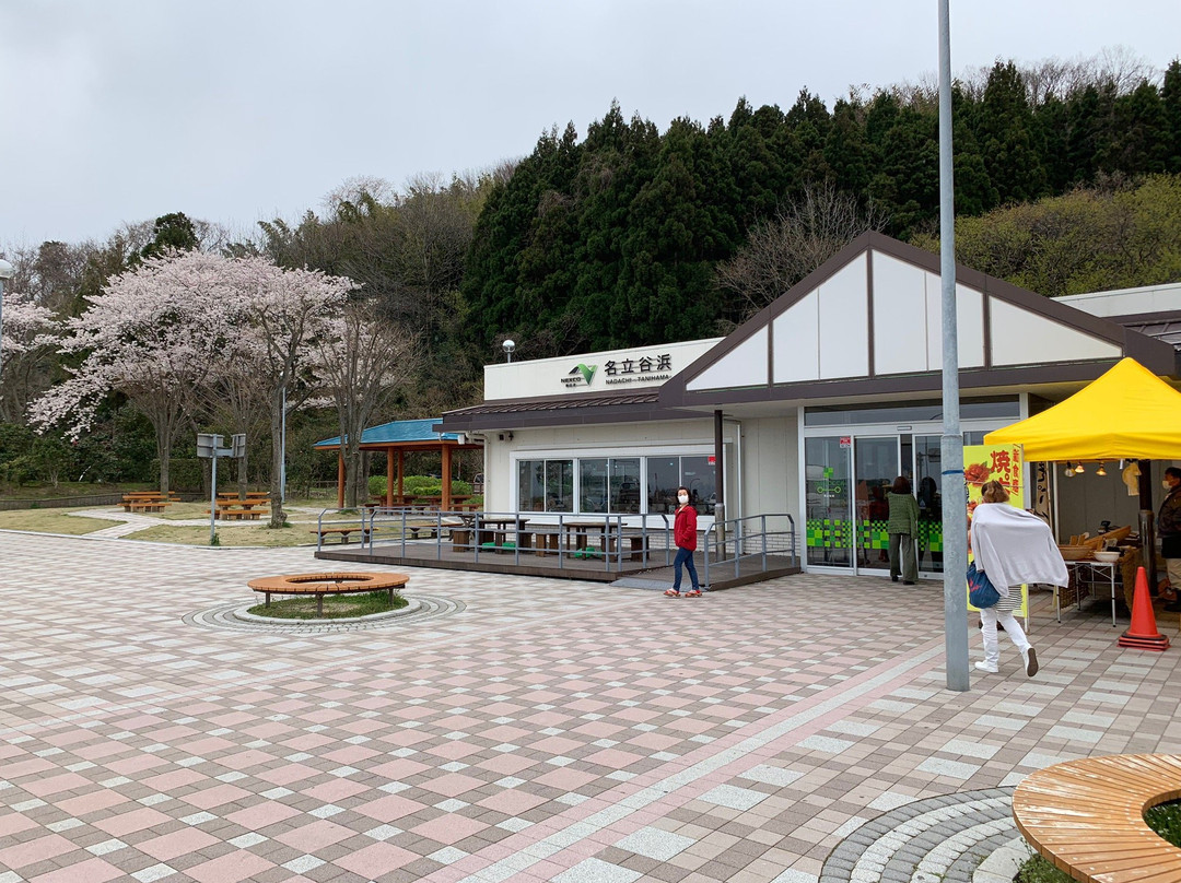 Nadachi Tanihama Service Area Inbound景点图片