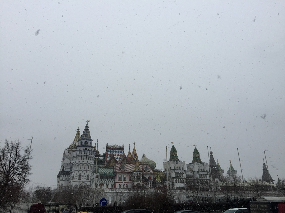 伊兹麦洛瓦斯基酒店主图