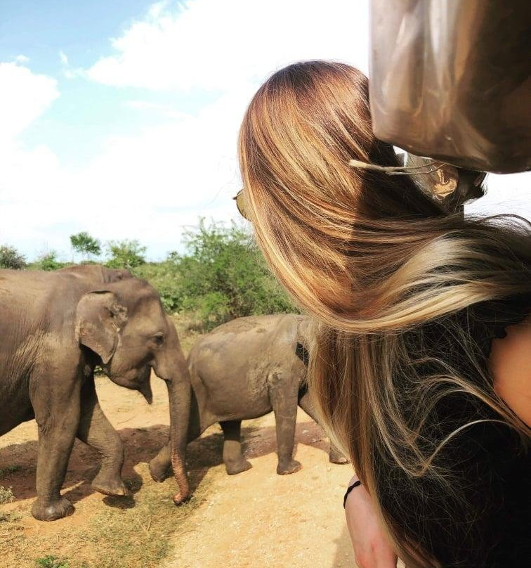 Wild Vibes Safari Tours Udawalawe-乌达瓦拉瓦必去景点