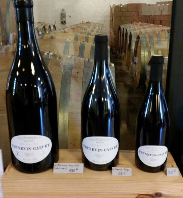 Domaine Thunevin Calvet景点图片