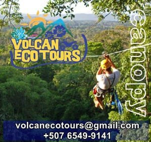 Volcan Ecotours景点图片