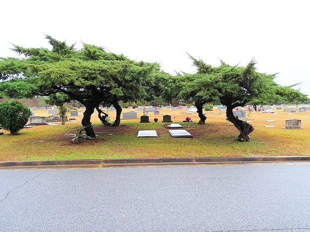 Oak Hill Cemetery-纽南必去景点