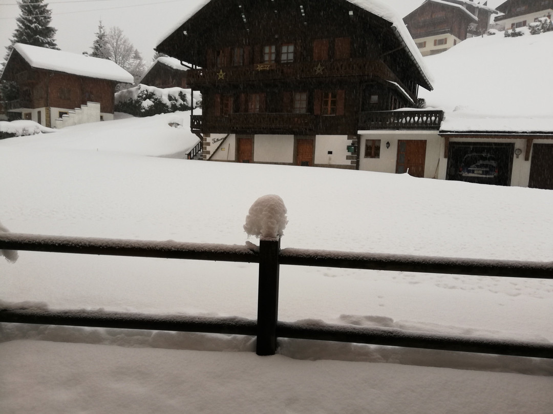 Helvetia Hotel Residence主图