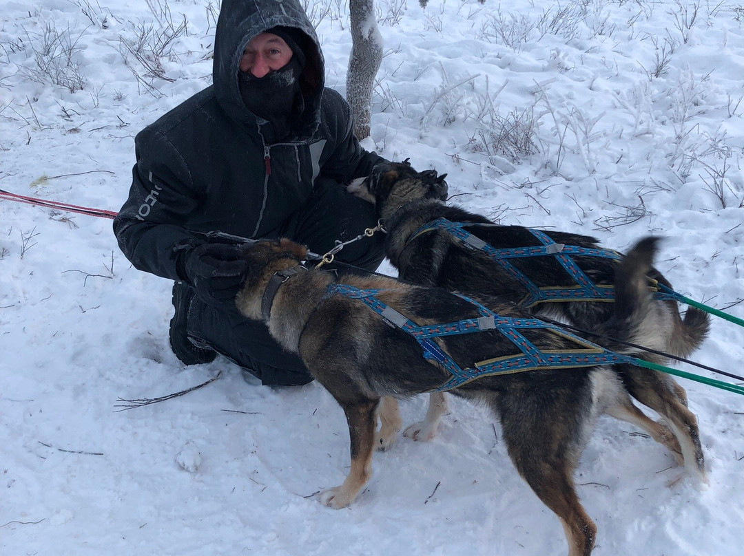Ice Driving-Jukkasjarvi必去景点