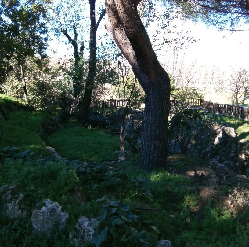 Parque Natural El Soto景点图片
