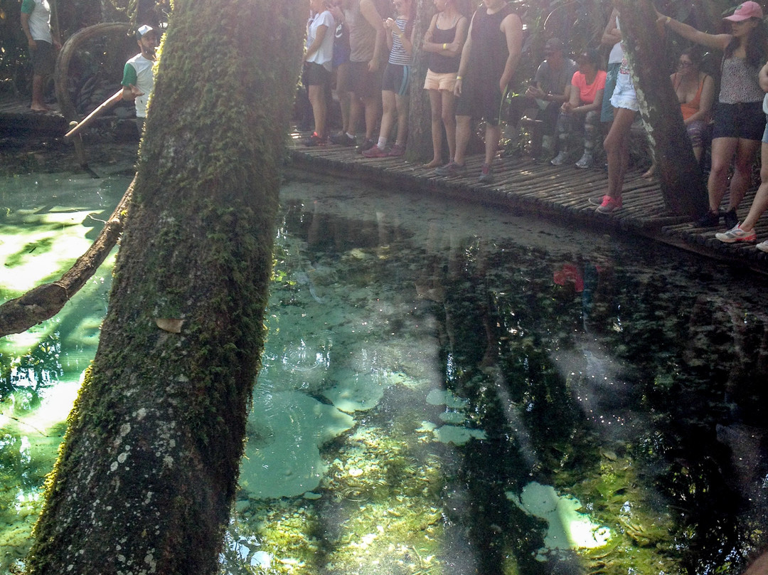 Areia que Canta-Brotas必去景点