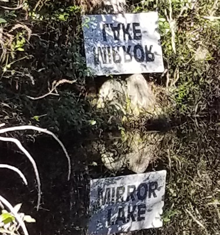 Okefenokee Heritage Center-Waycross必去景点