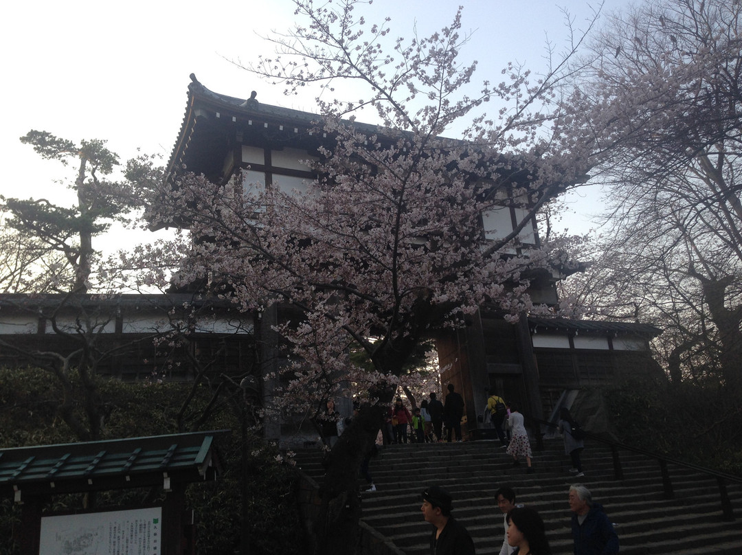 Kubota Castle Front Gate