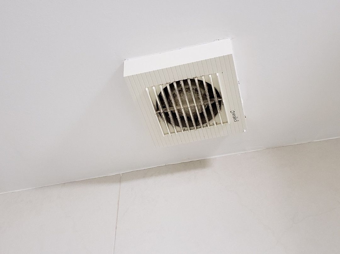 Holiday Inn Express Belém Ananindeua By IHG主图