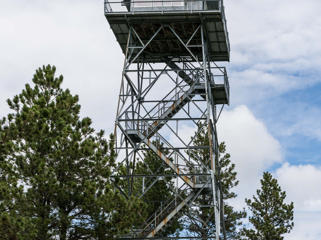 Rankin Ridge Nature Trail-Wind Cave National Park必去景点