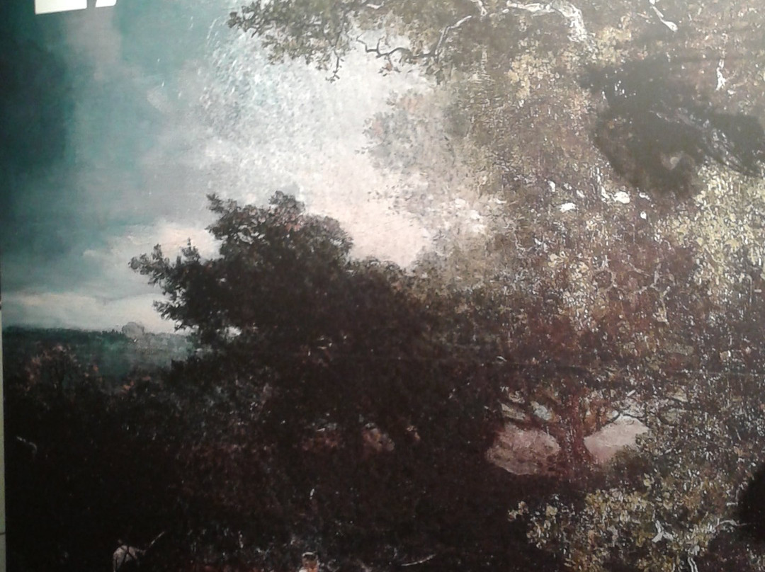 Het Hannemahuis-哈灵根必去景点