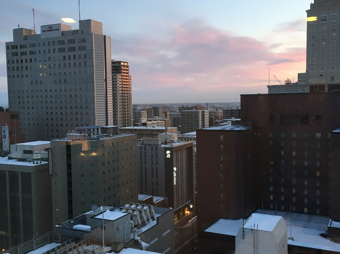 札幌克罗斯酒店主图