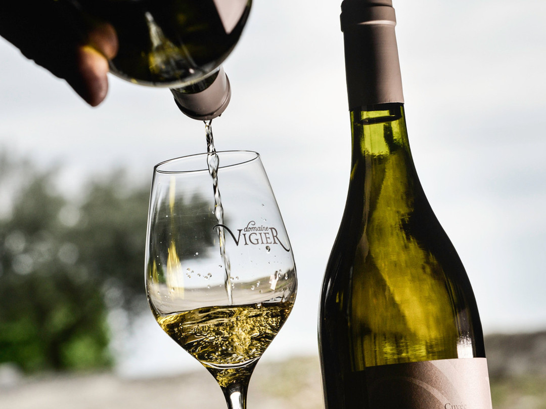 Domaine de Vigier景点图片